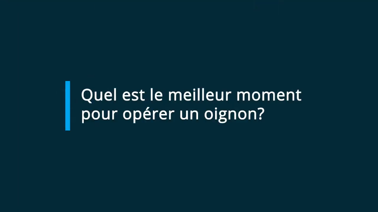 Quel est le meilleur moment pour opérer un oignon? Discussion avec le Dr Hobeychi, podiatre