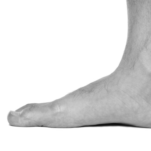 Deux pieds